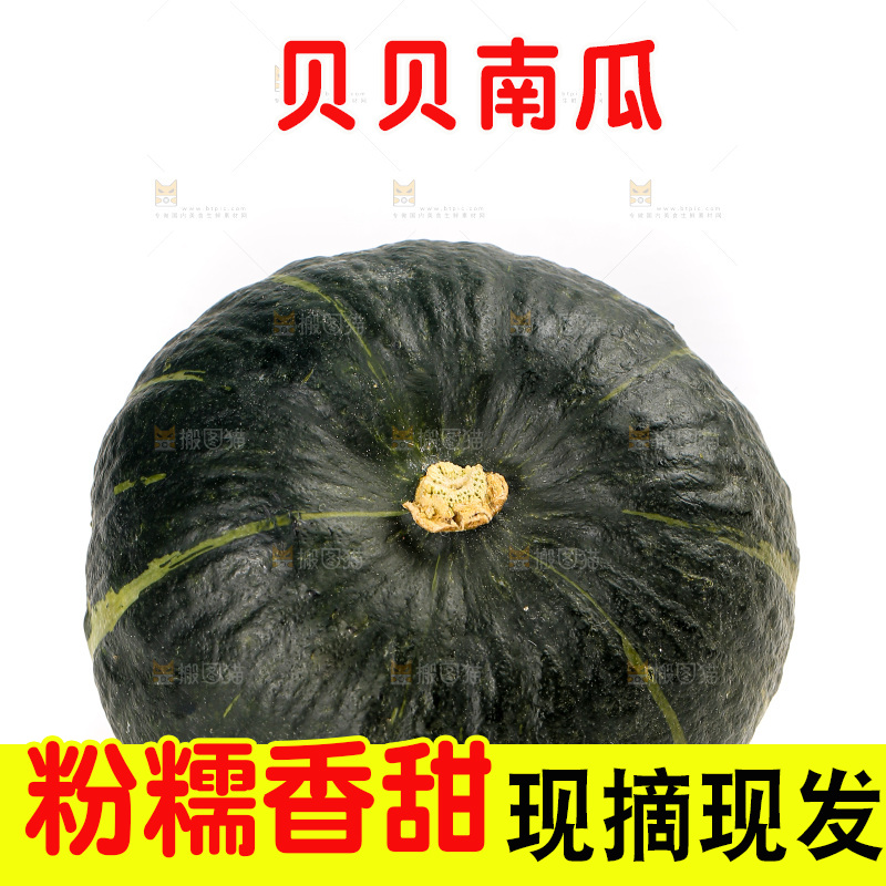 白底上放着的贝贝南瓜