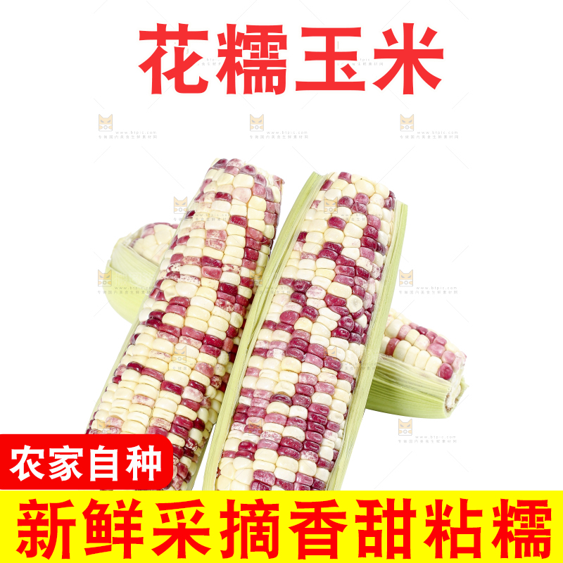 白底上的花糯玉米