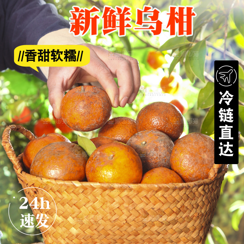 深底上的乌柑