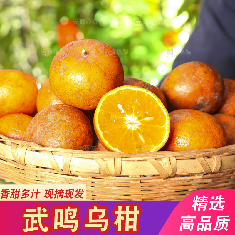 深底上的乌柑