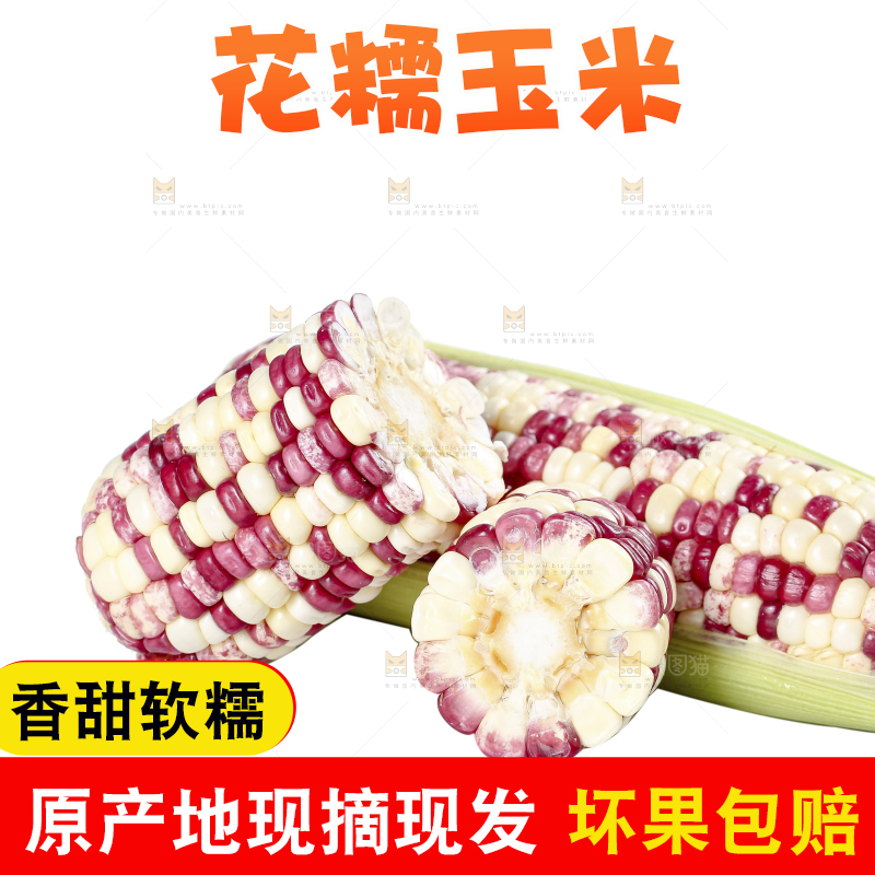 白底上的花糯玉米