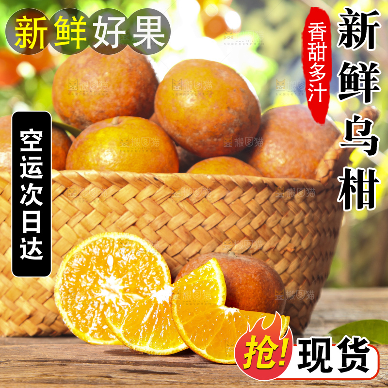 深底上的乌柑