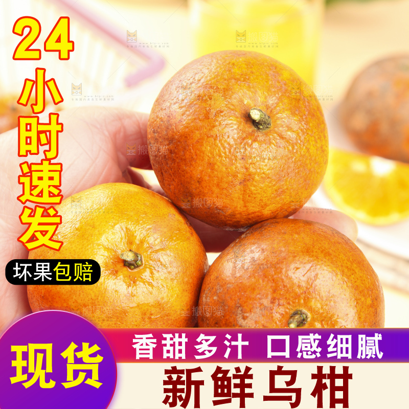 浅底上的乌柑