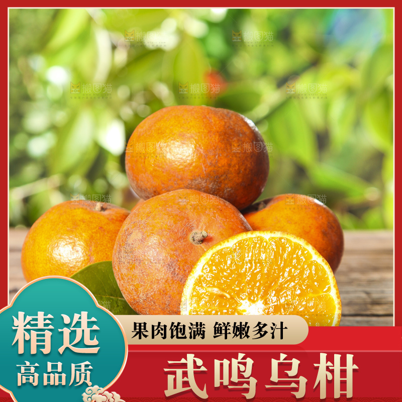 深底上的乌柑