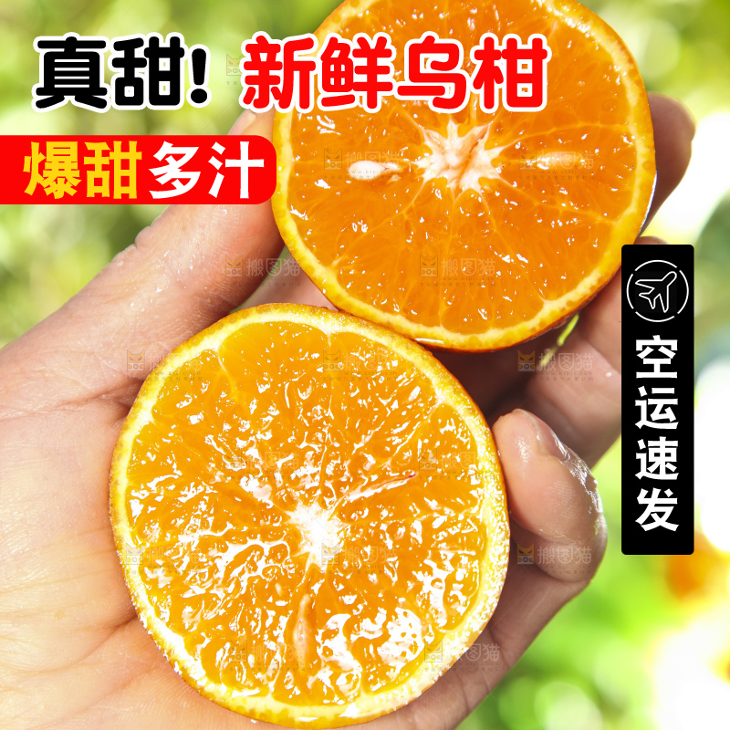 深底上的乌柑