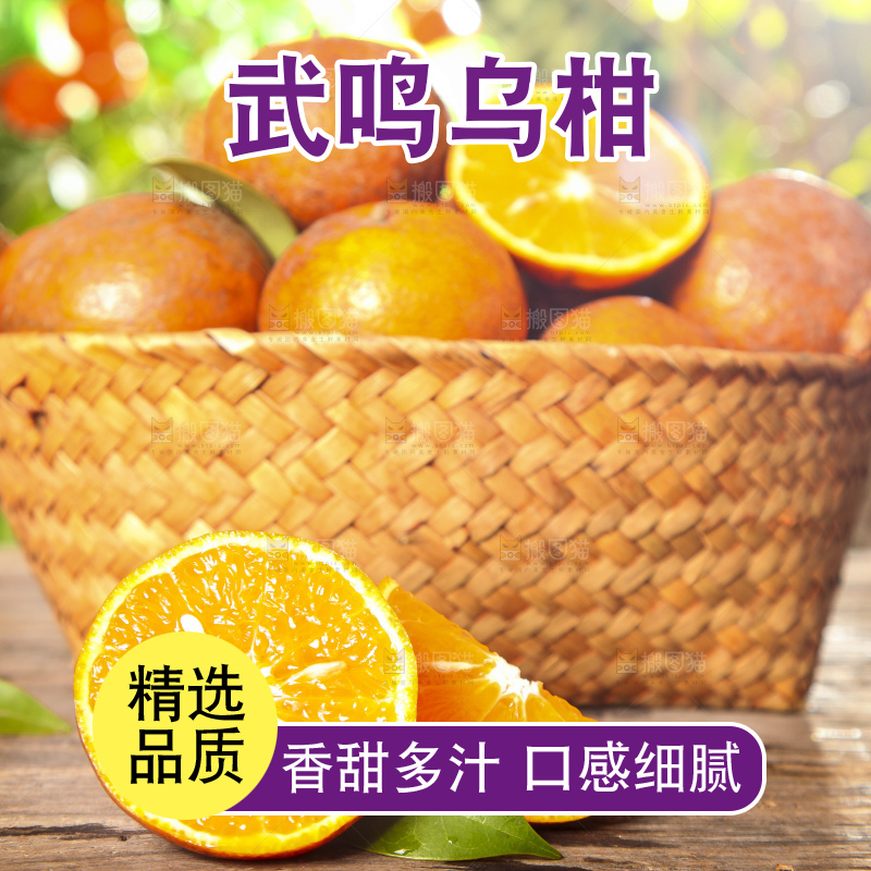 深底上的乌柑