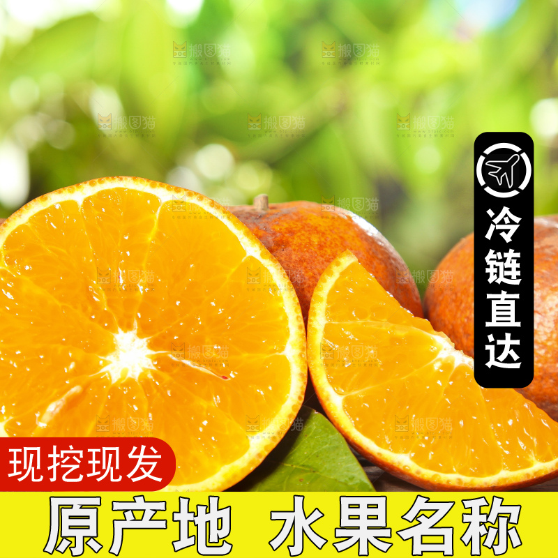 深底上的乌柑