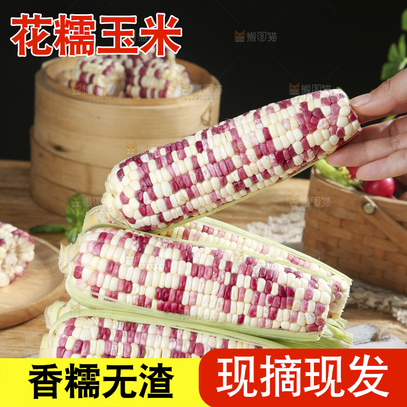 木底上的花糯玉米