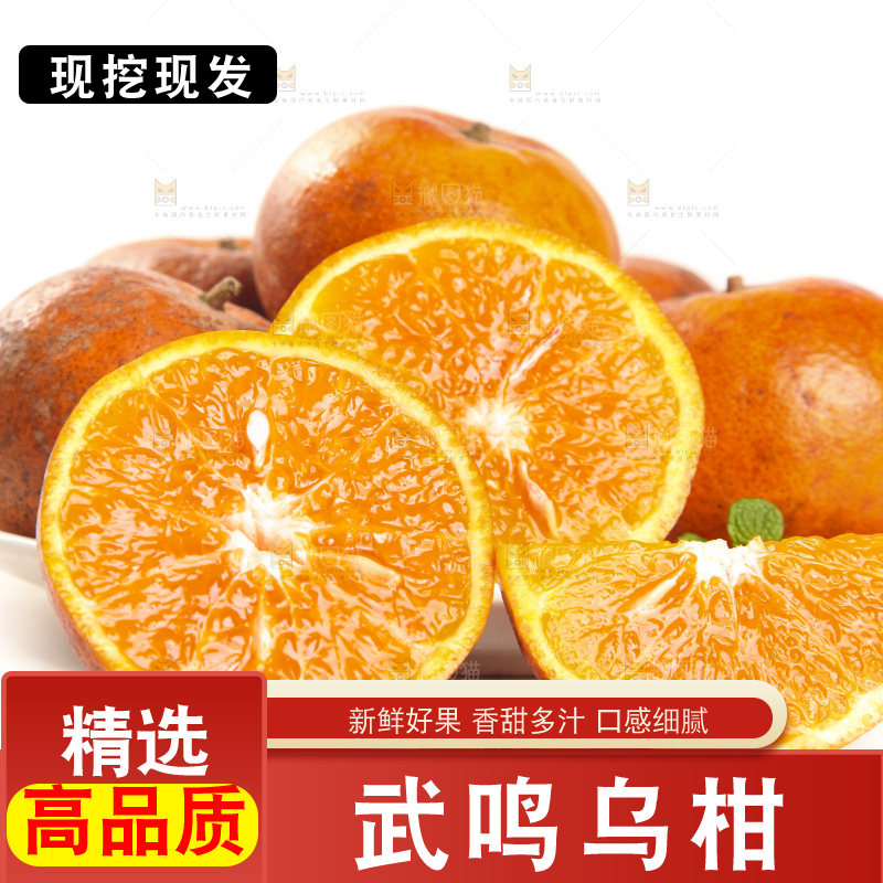 白底上的乌柑