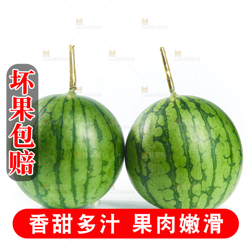 白底上的小西瓜