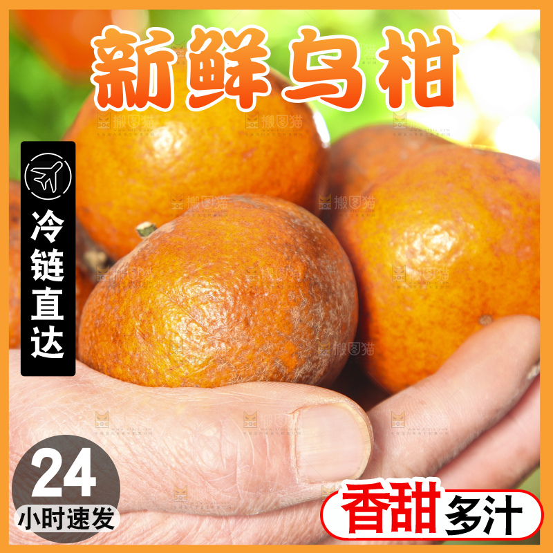 深底上的乌柑