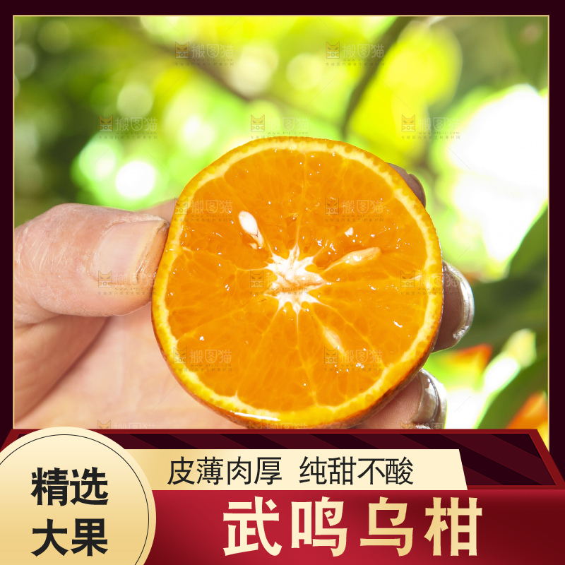 深底上的乌柑