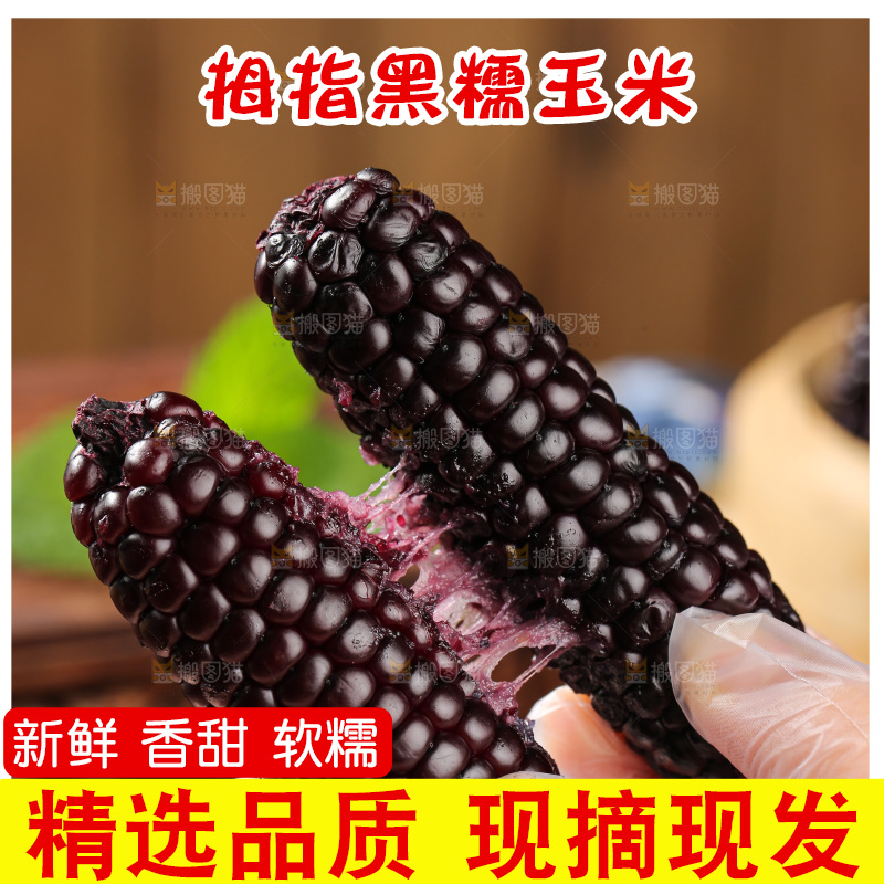 木底上的黑糯拇指玉米