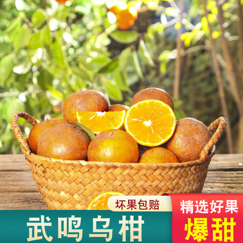 深底上的乌柑