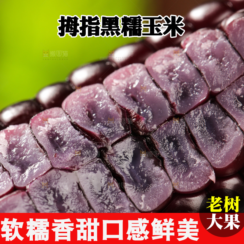 木底上的黑糯拇指玉米