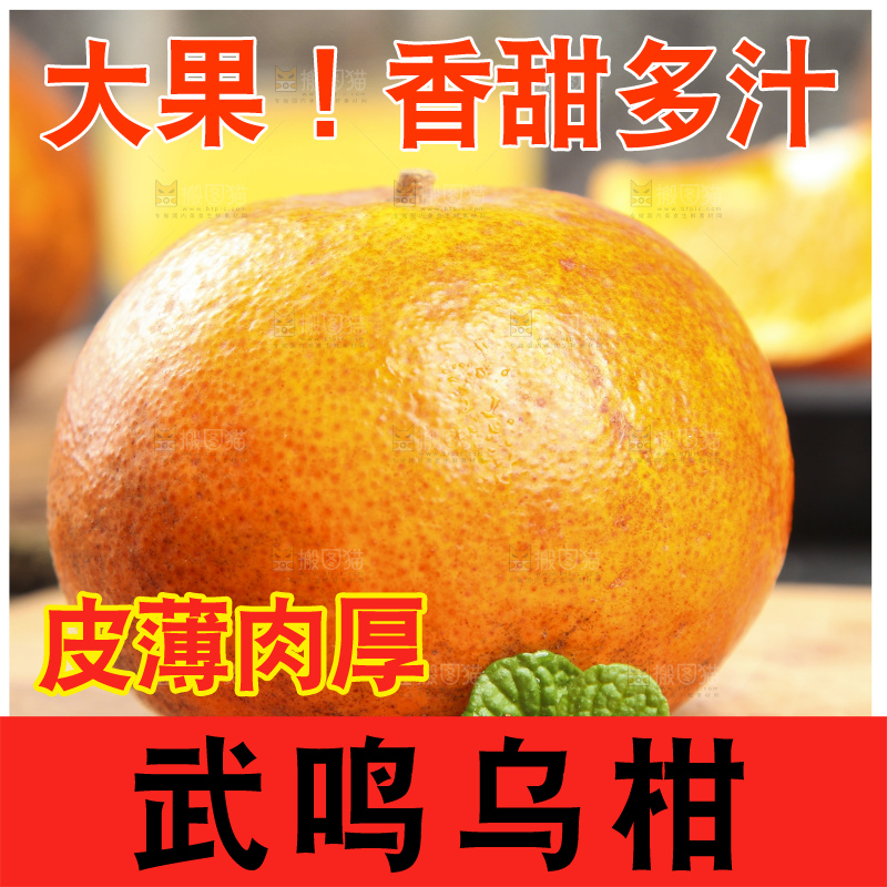 深底上的乌柑
