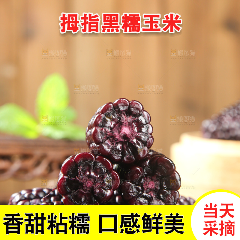 木底上的黑糯拇指玉米
