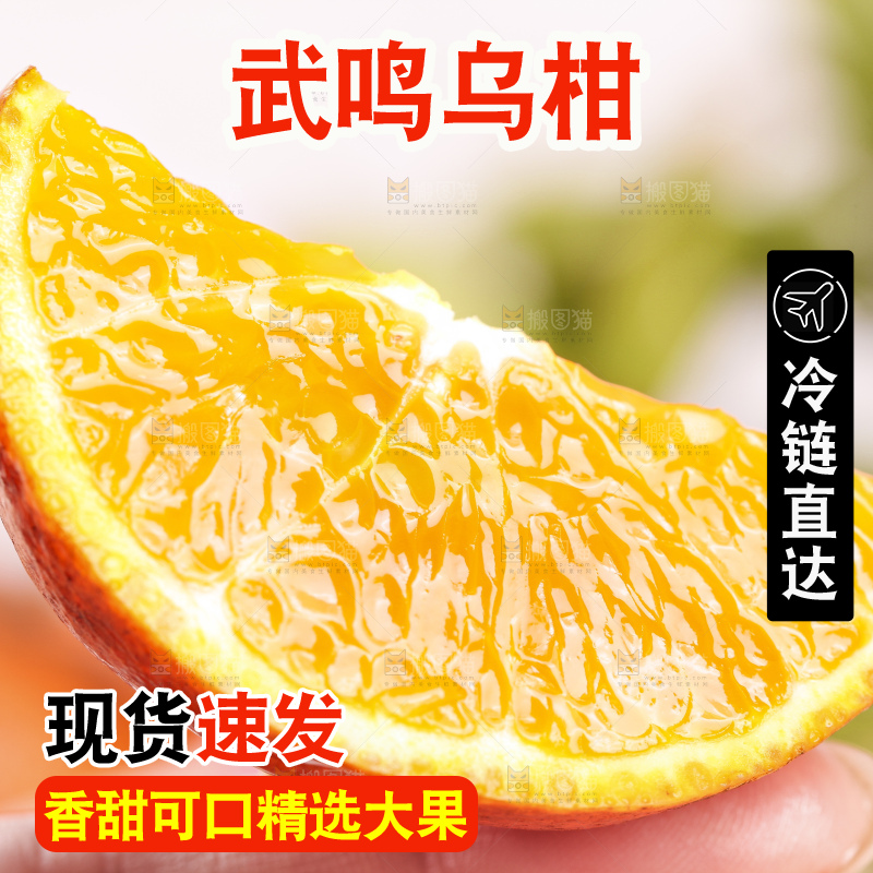 浅底上的乌柑