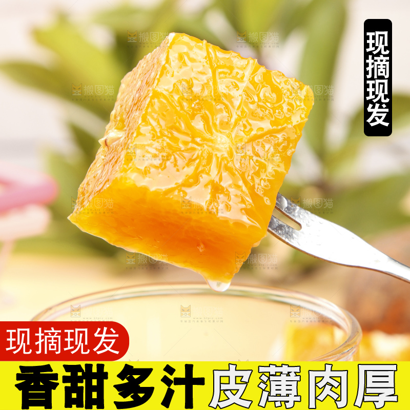 浅底上的乌柑