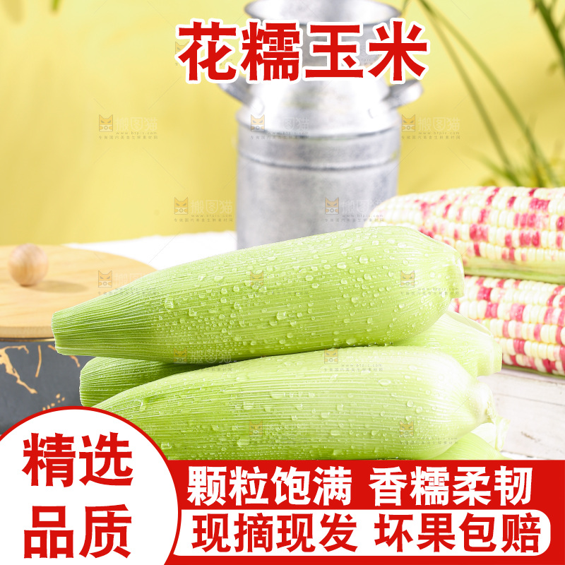 浅底上的花糯玉米