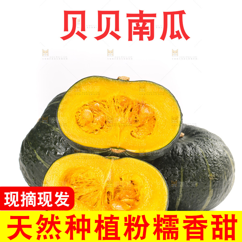 白底上放着的贝贝南瓜