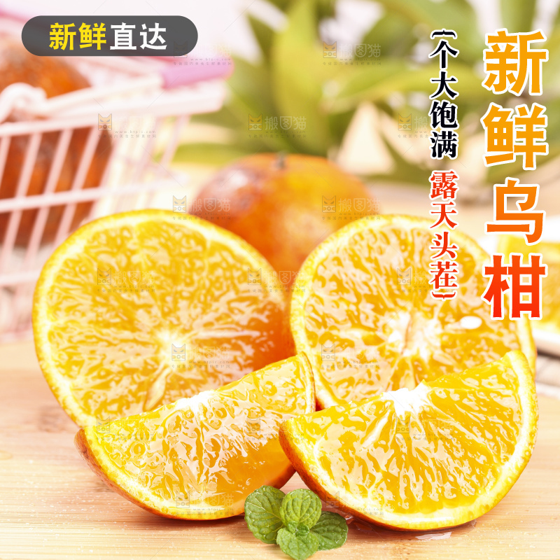 浅底上的乌柑