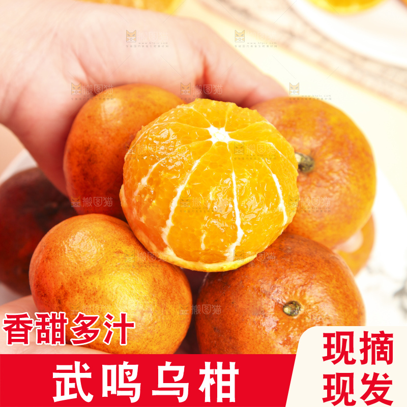 浅底上的乌柑