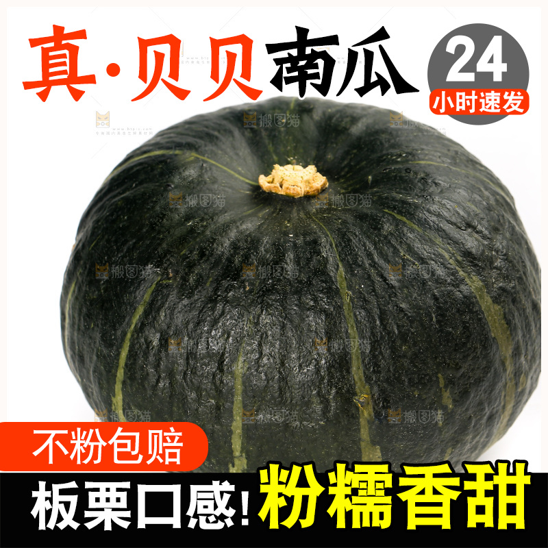 白底上放着的贝贝南瓜