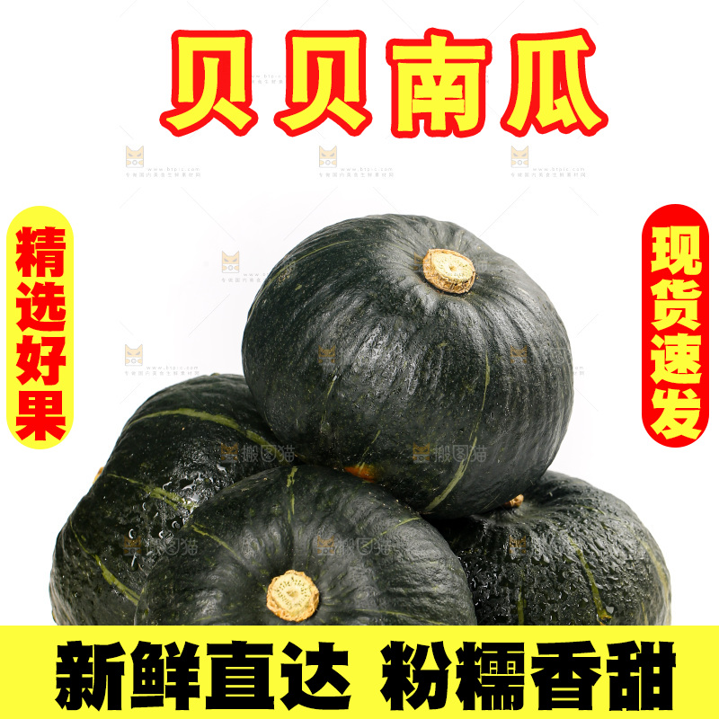 白底上放着的贝贝南瓜