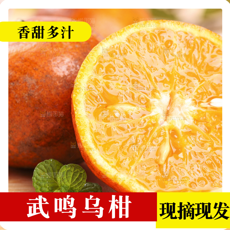 浅底上的乌柑