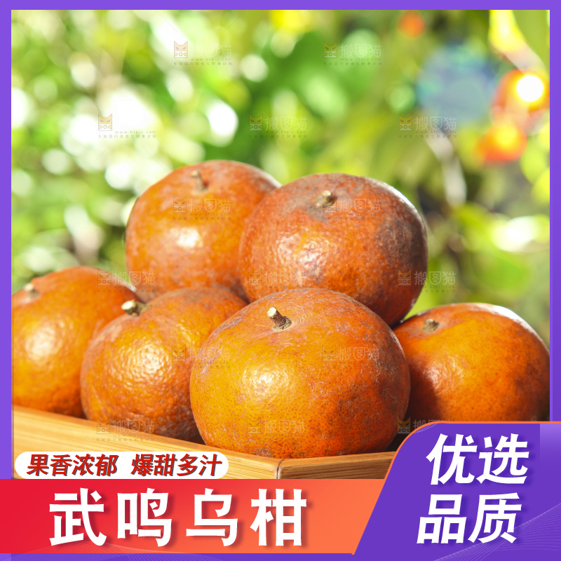 深底上的乌柑