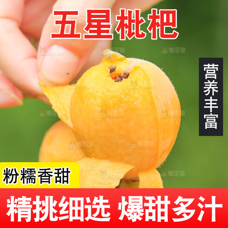 手里拿着现摘枇杷