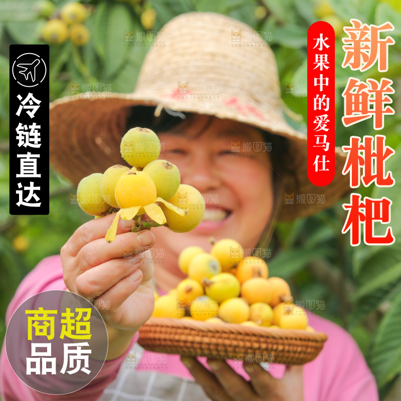 手里拿着现摘枇杷
