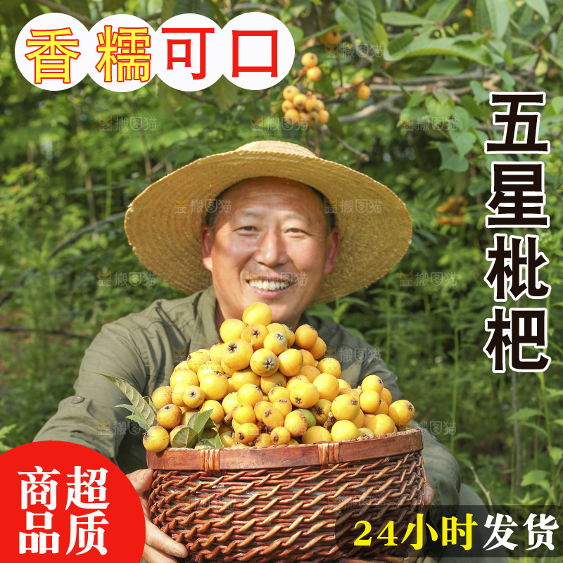手里拿着现摘枇杷
