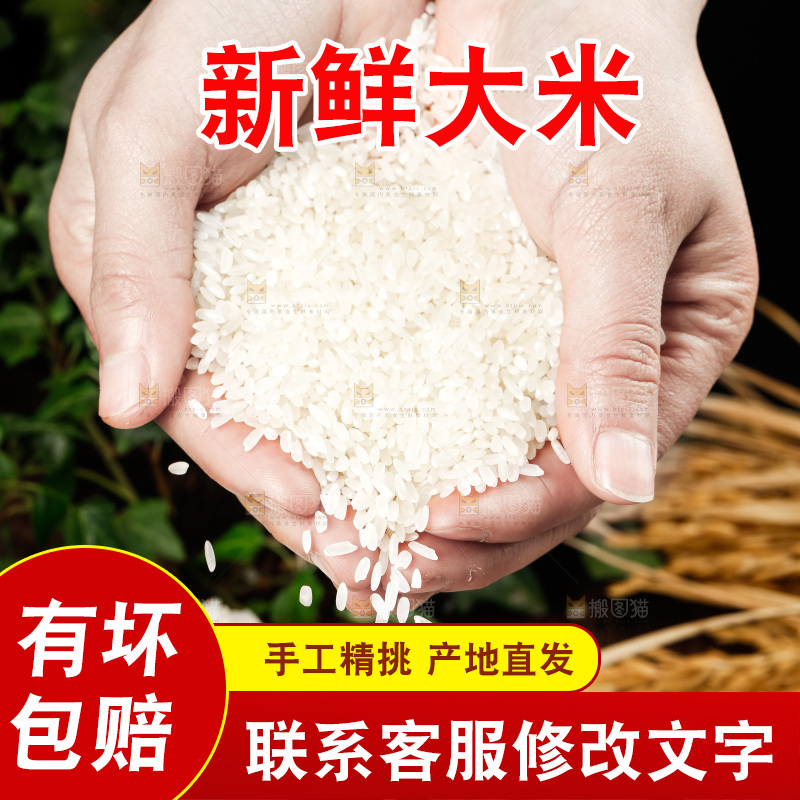 深底上的五常大米