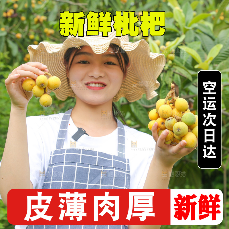 手里拿着现摘枇杷