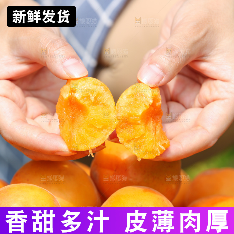 手里拿着新鲜大黄杏