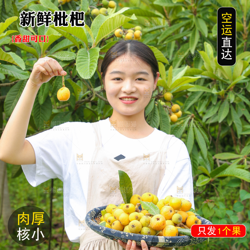 手里拿着现摘枇杷