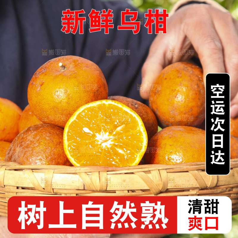 深底上的乌柑