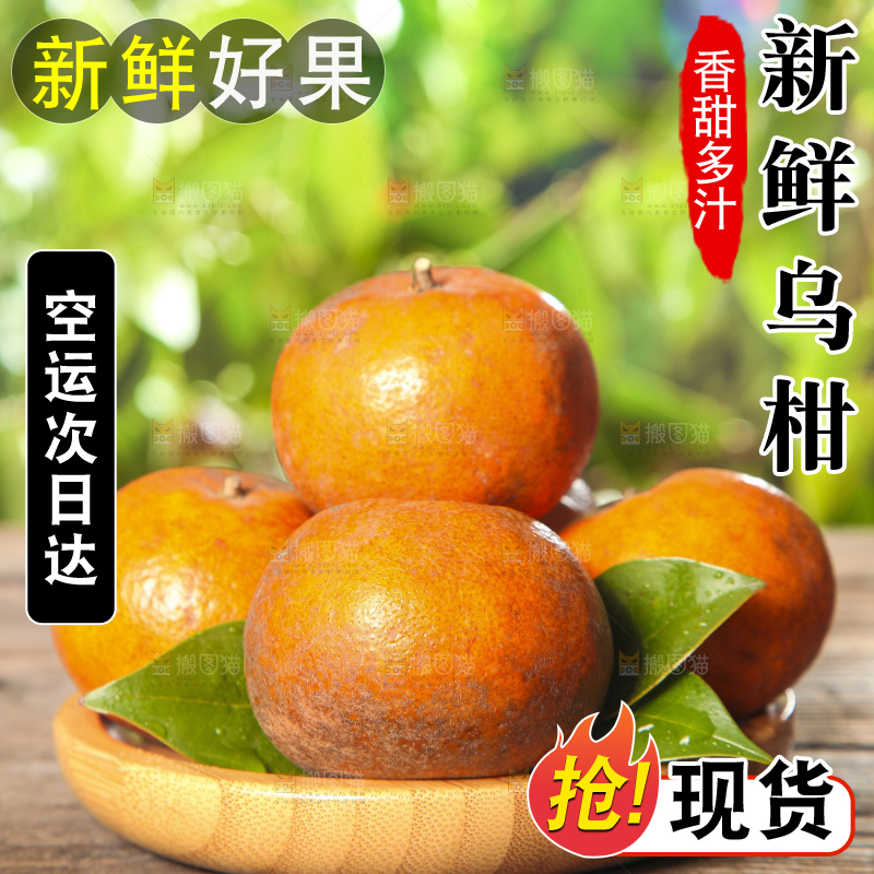 深底上的乌柑