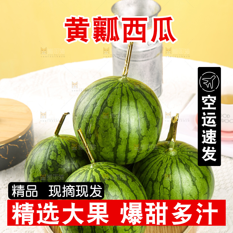 浅底上的黄瓤西瓜