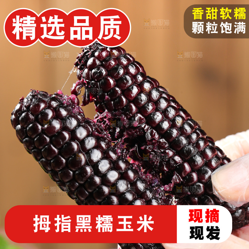 木底上的黑糯拇指玉米