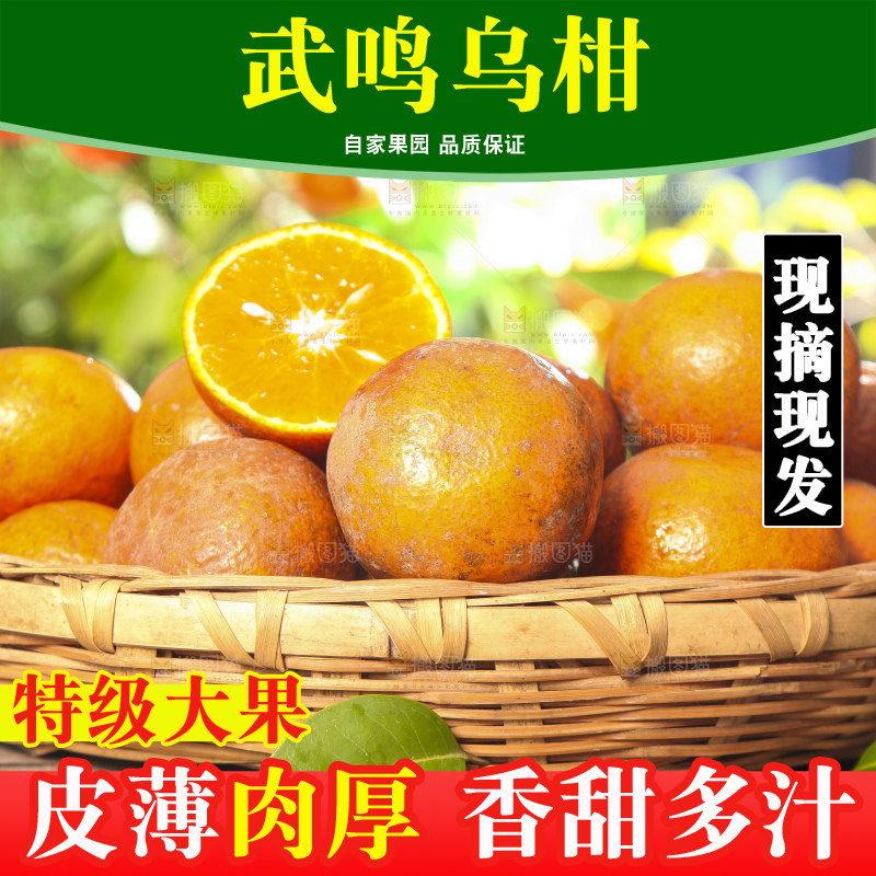 深底上的乌柑