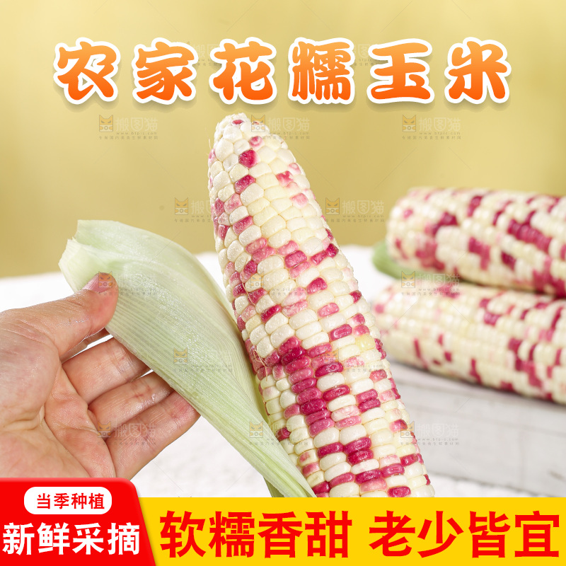 花糯玉米主图