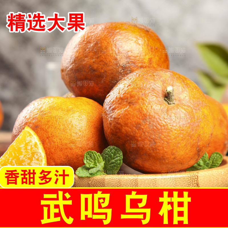 深底上的乌柑