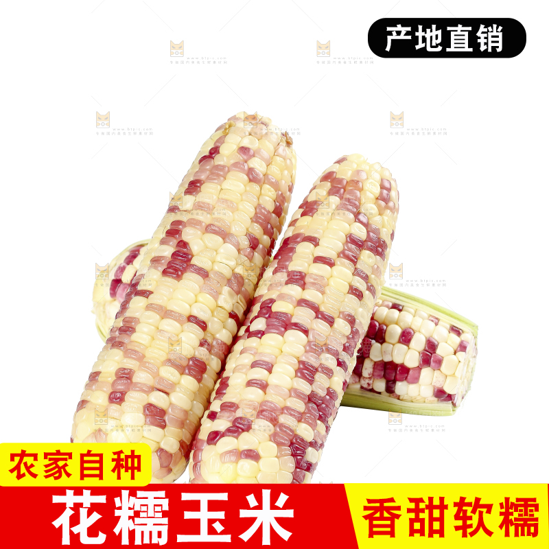 白底上的花糯玉米
