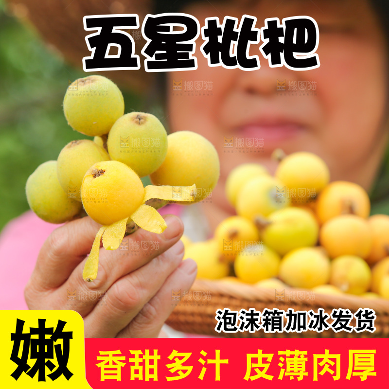 手里拿着现摘枇杷