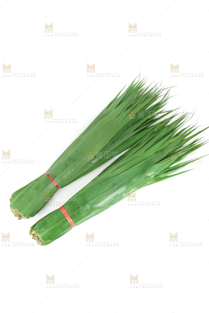 白底上的新鲜粽叶