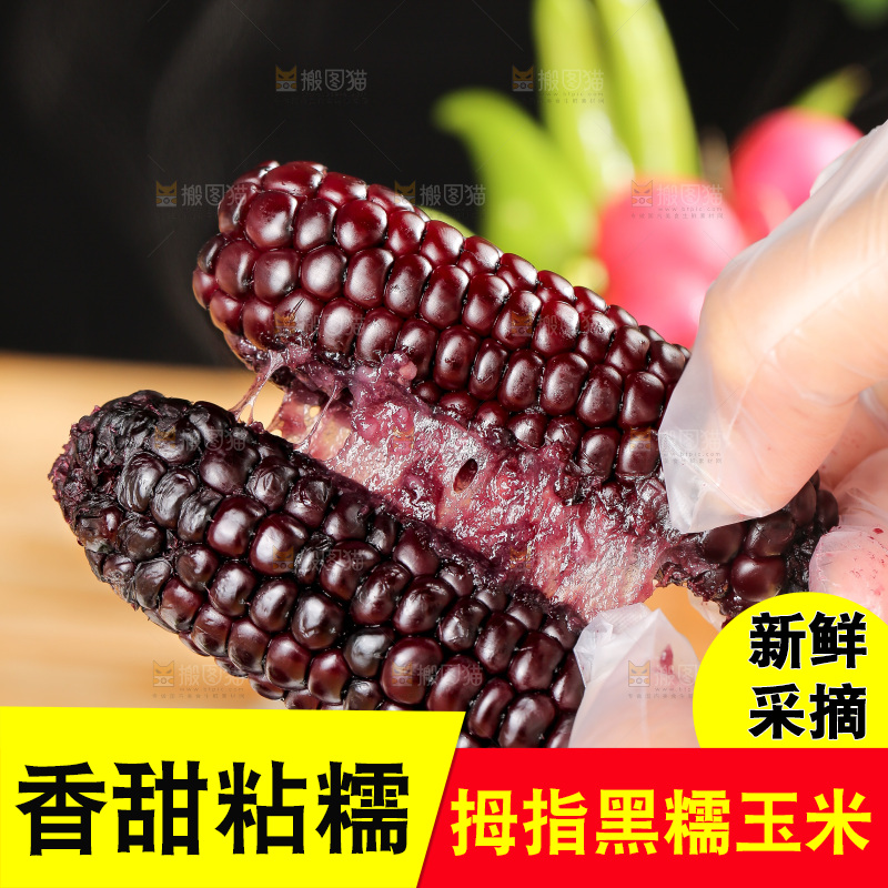 木底上的黑糯拇指玉米