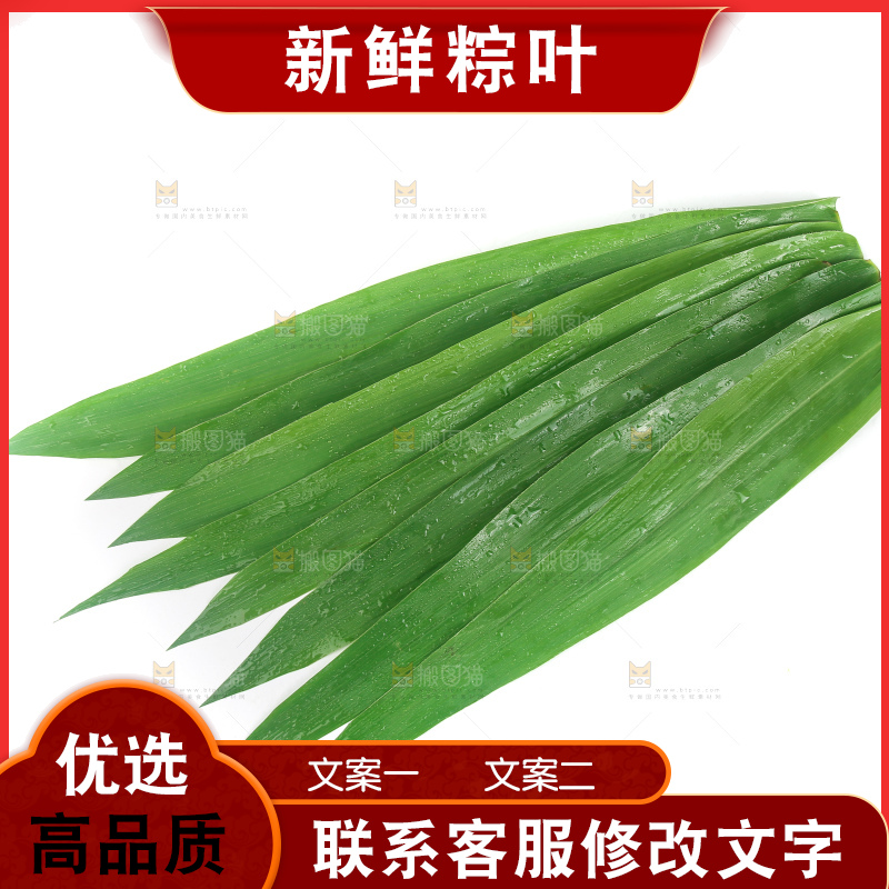 白底上的新鲜粽叶